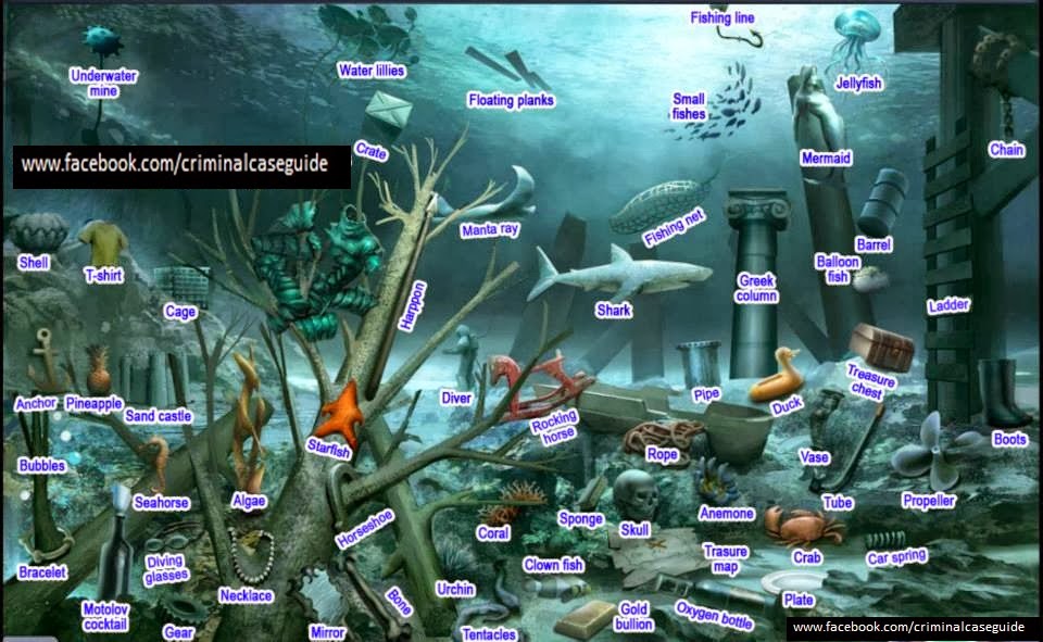 Criminal Case Solved Case 27 The Lake's Bride Criminal Case Guide