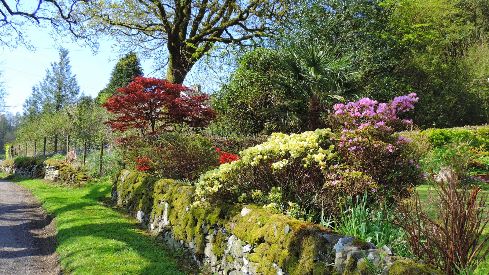 The Glebe Blog 04/2014