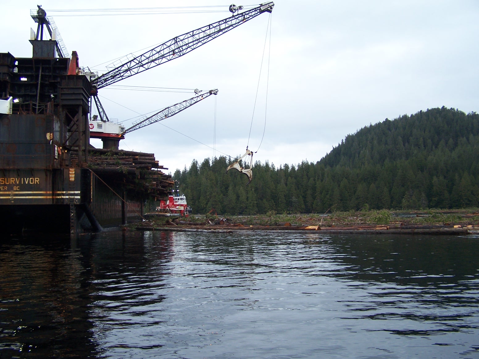 life on the inlet Heli logging