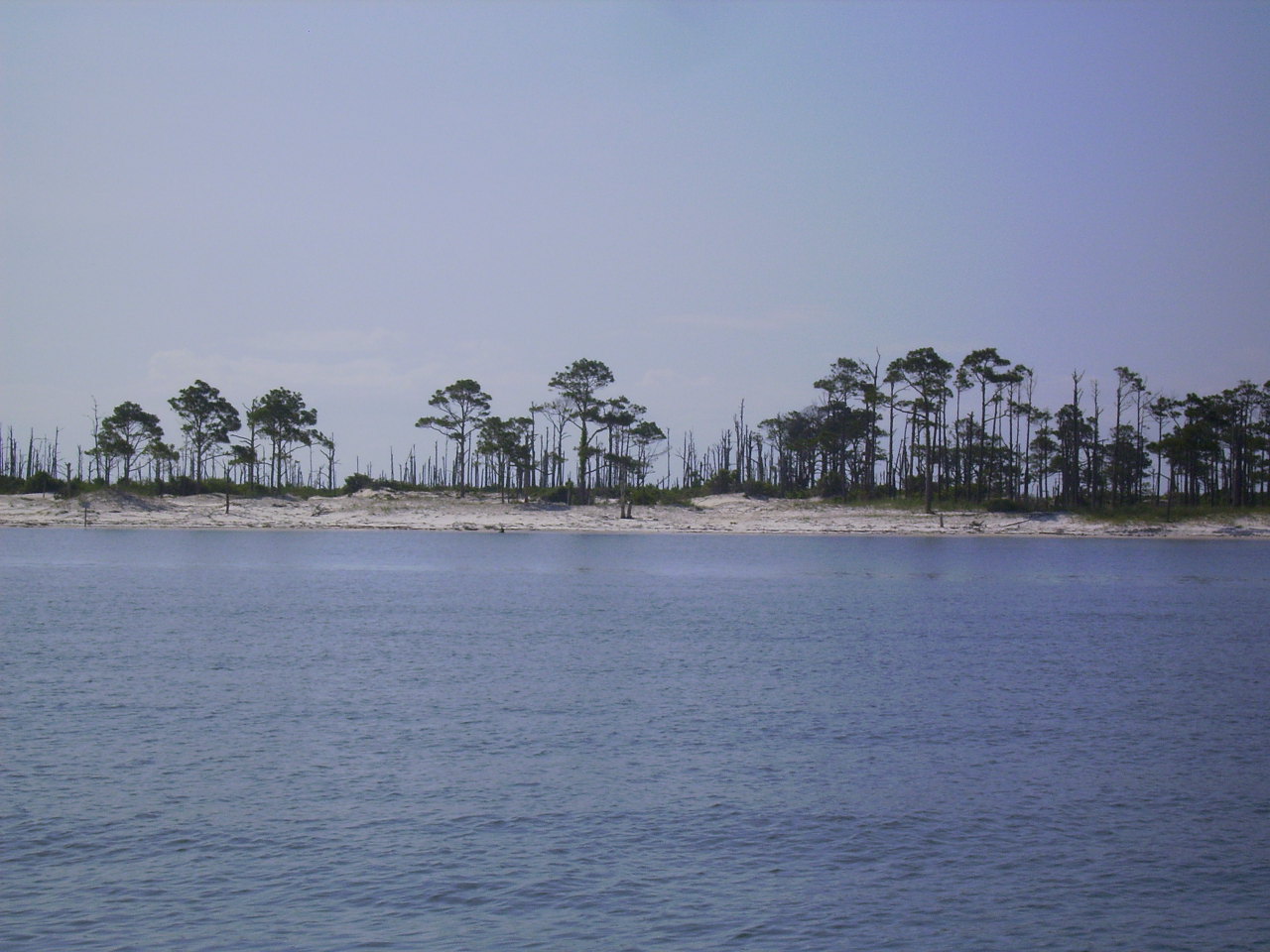 Ocean Springs 365 A Boat Ride to Horn Island!!!