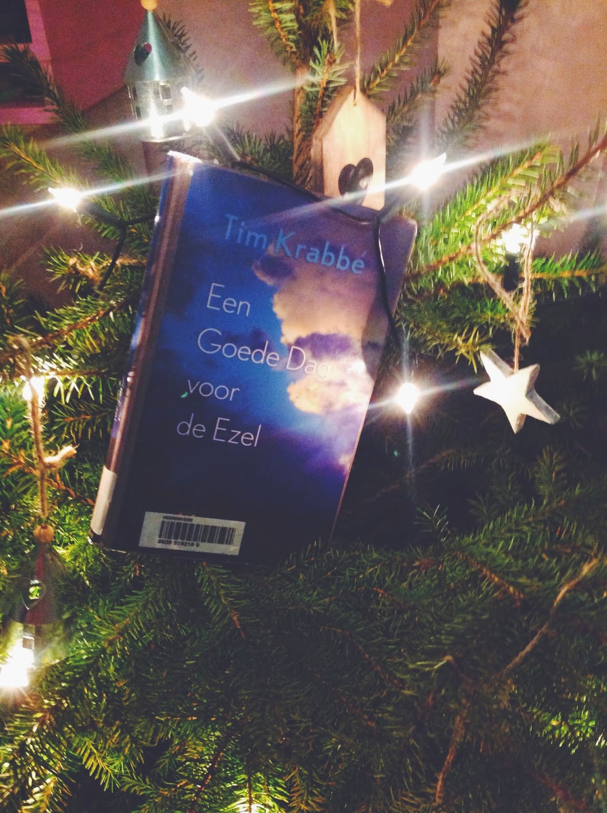 School Boekverslag �Een goede dag voor de ezel�