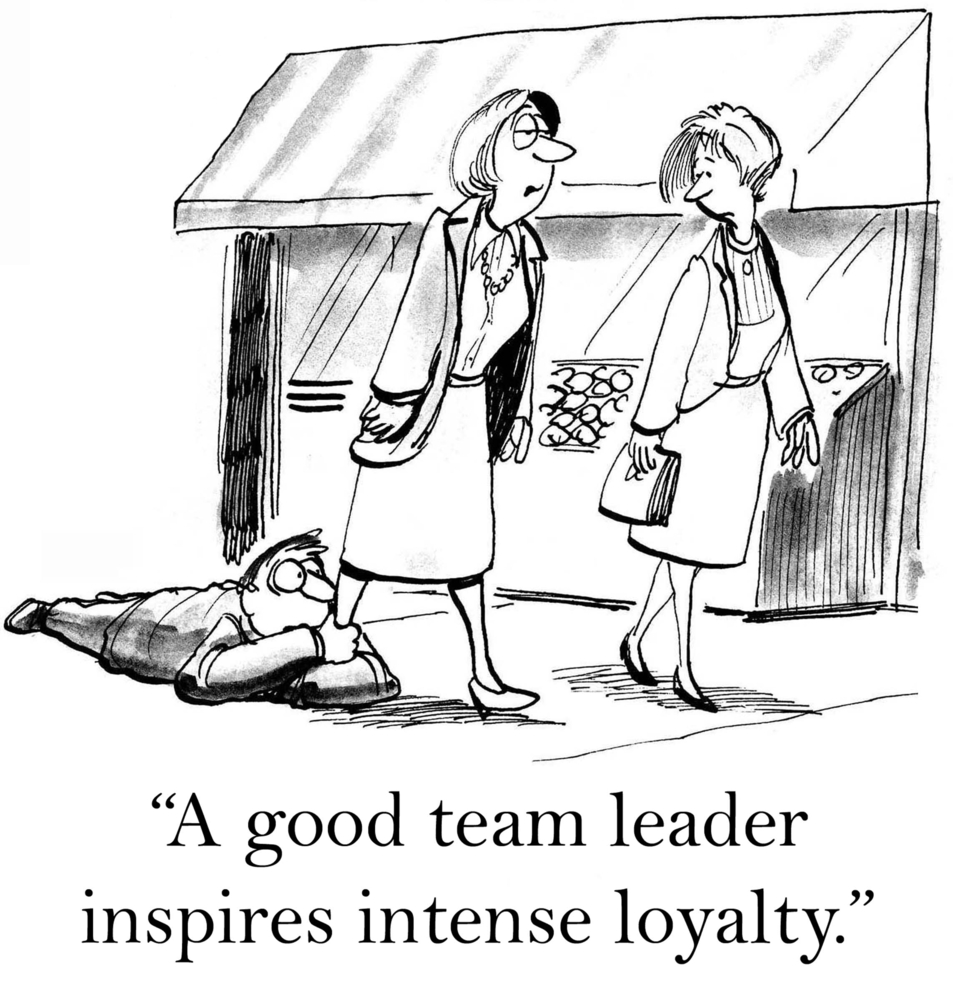 Situational Leadership Theory Cartoons