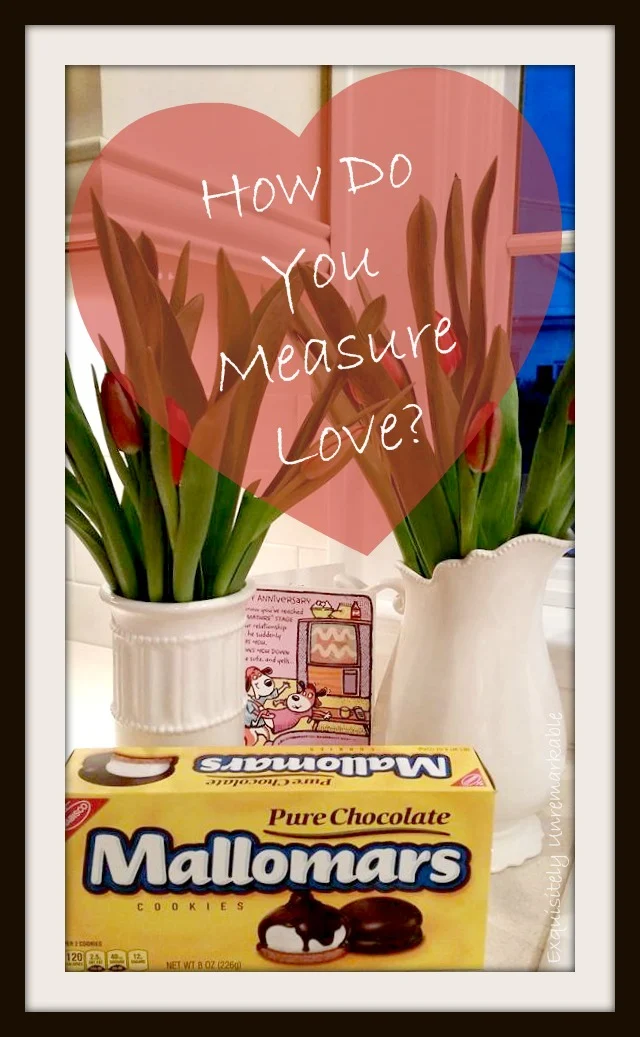 Mallowmars and tulips How Do You Measure Love text