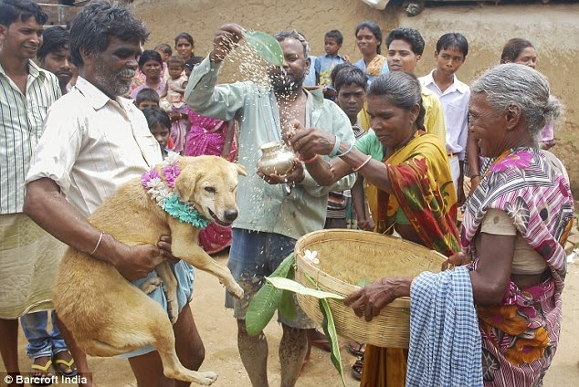 Indian Girl forced to marry DOG to fend of Evil Spell