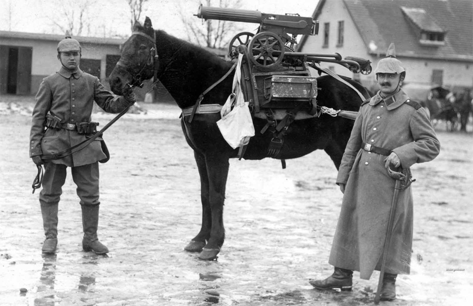 Лошади в первой мировой войне
