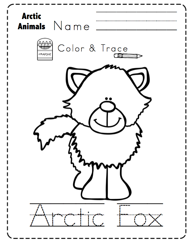 Arctic Animals No Prep Printable ~ Preschool Printables