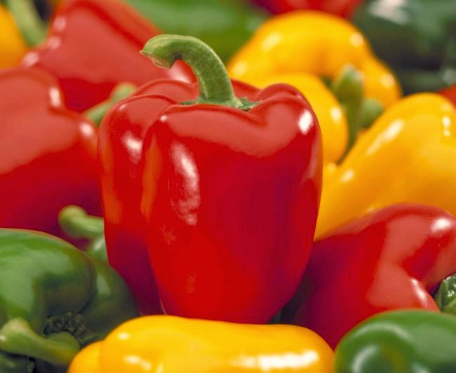 Garden Of Natures Benefits of Paprika & Cultivation Method