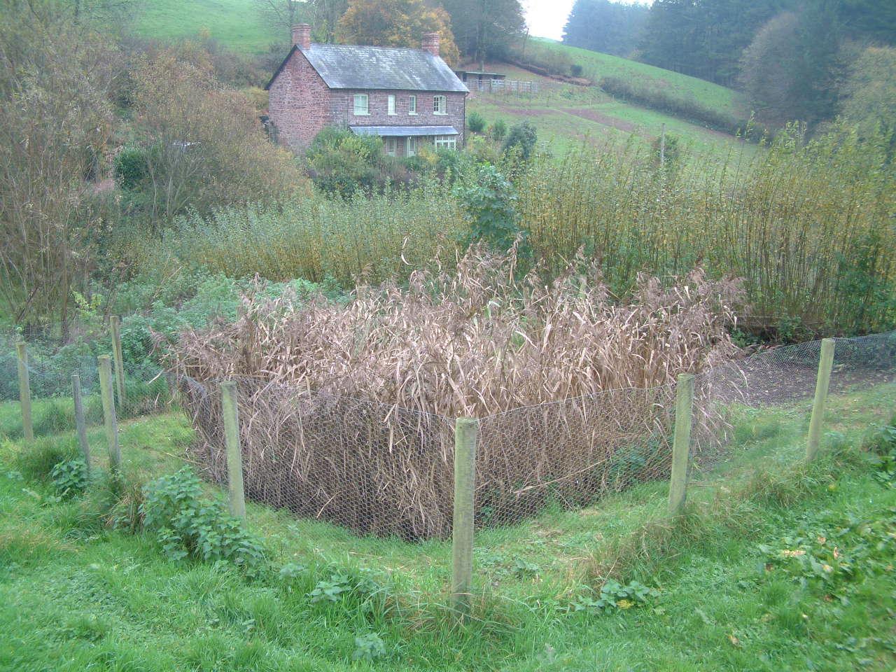 treatment wetlands Compact Vertical Flow Reed Beds