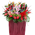 Business Grand Opening Flowers: Why Flowers are the Best Gift for Congratulatory Messages