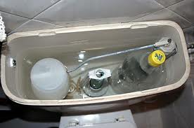 La regadera verde: Ahorrar agua. Riego