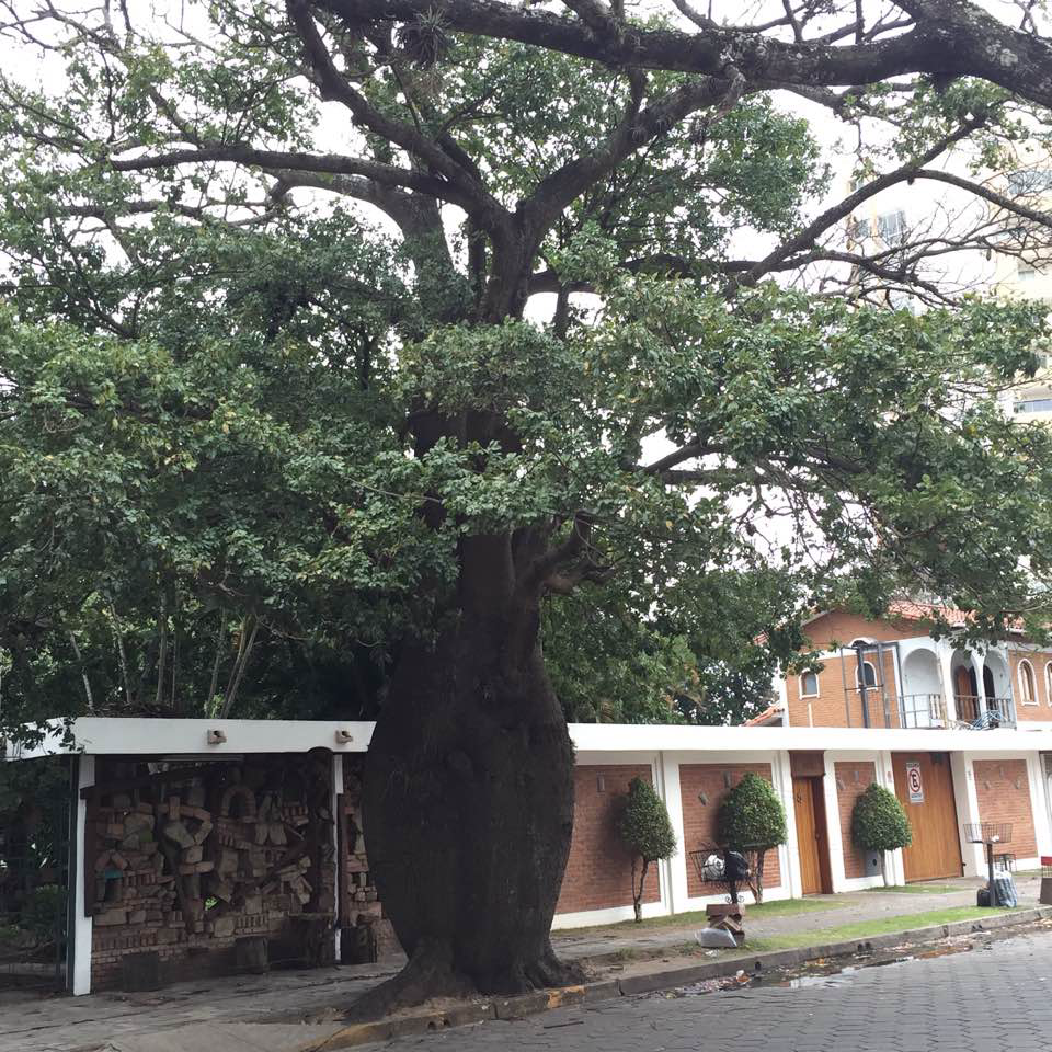 365 Days in Bolivia: April 21, 2017 - The Legend of the Toborochi