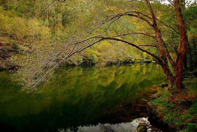 Embalse de Arbón rio Navia Asturias Naturaleza occidente