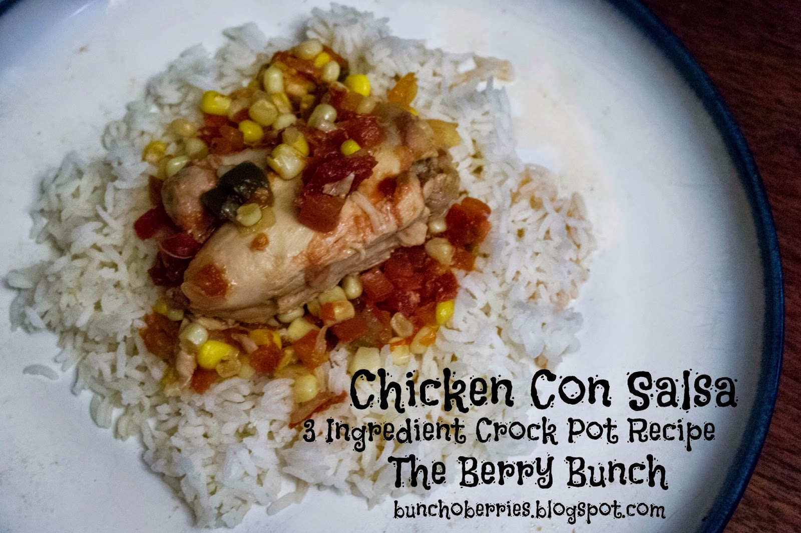 The Berry Bunch: What's for Dinner: Chicken Con Salsa (3-Ingredient Crock-Pot Recipe)