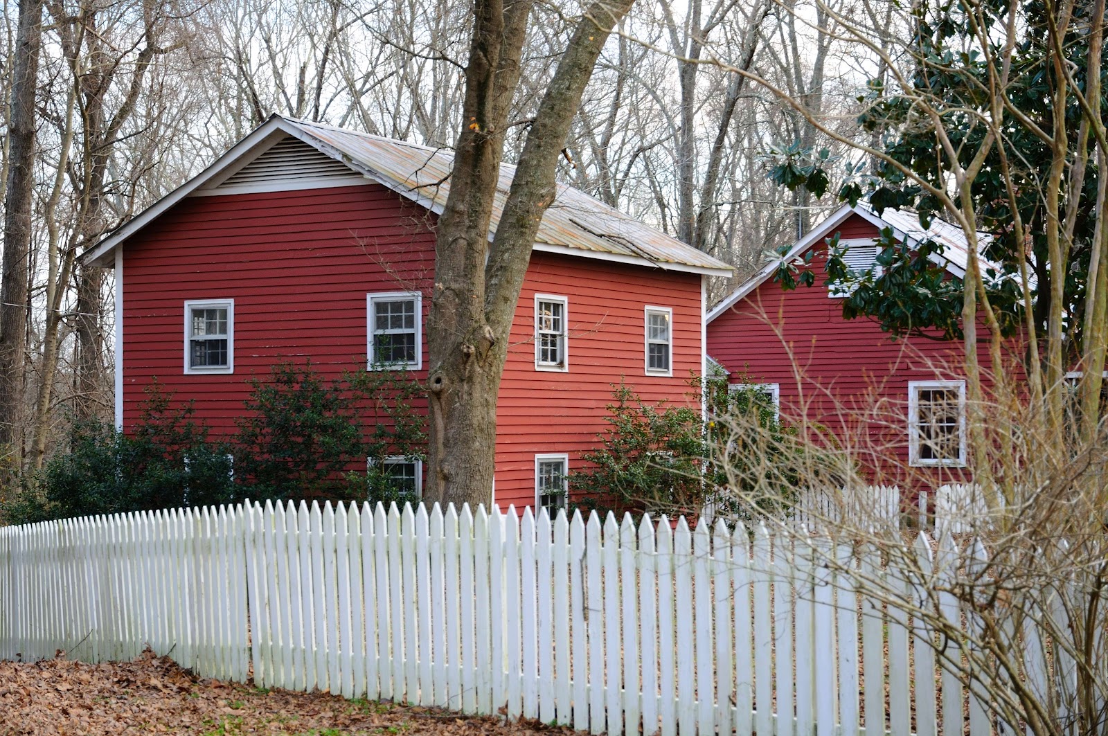 RobertJ Photography Horseshoe Farm Park in Raleigh