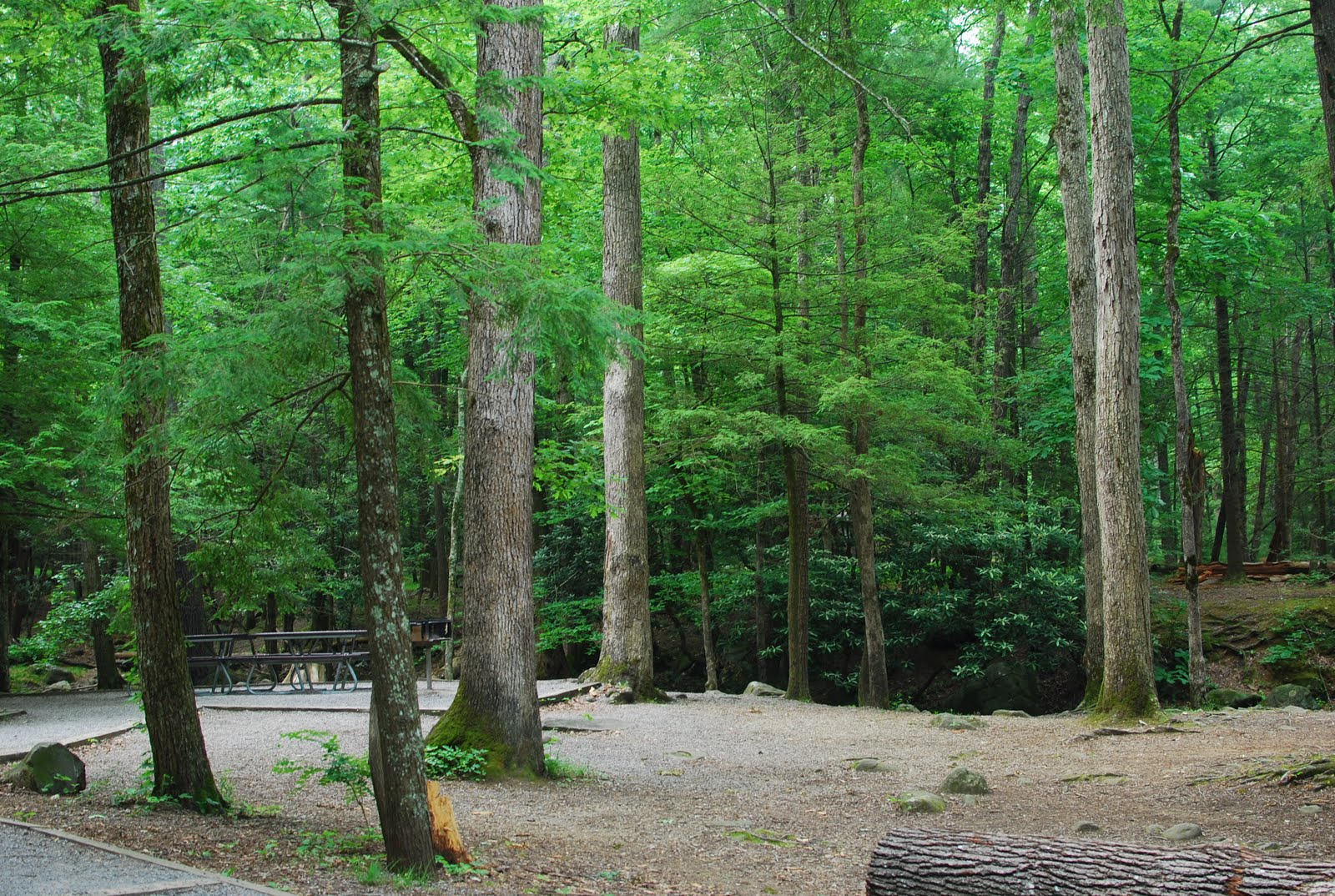 From The Word Go Cades Cove