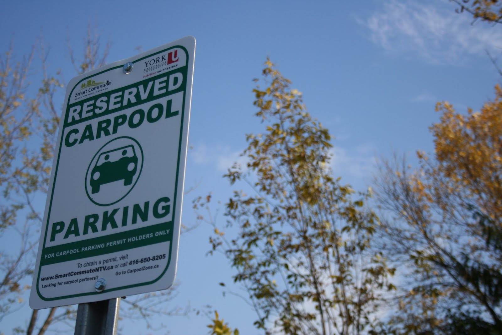 BEEP BEEP... CARPOOLER COMING THROUGH! ~ Yorking Around