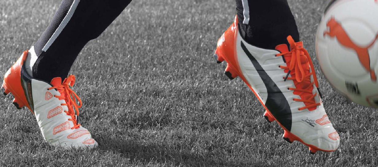 evopower 4.2
