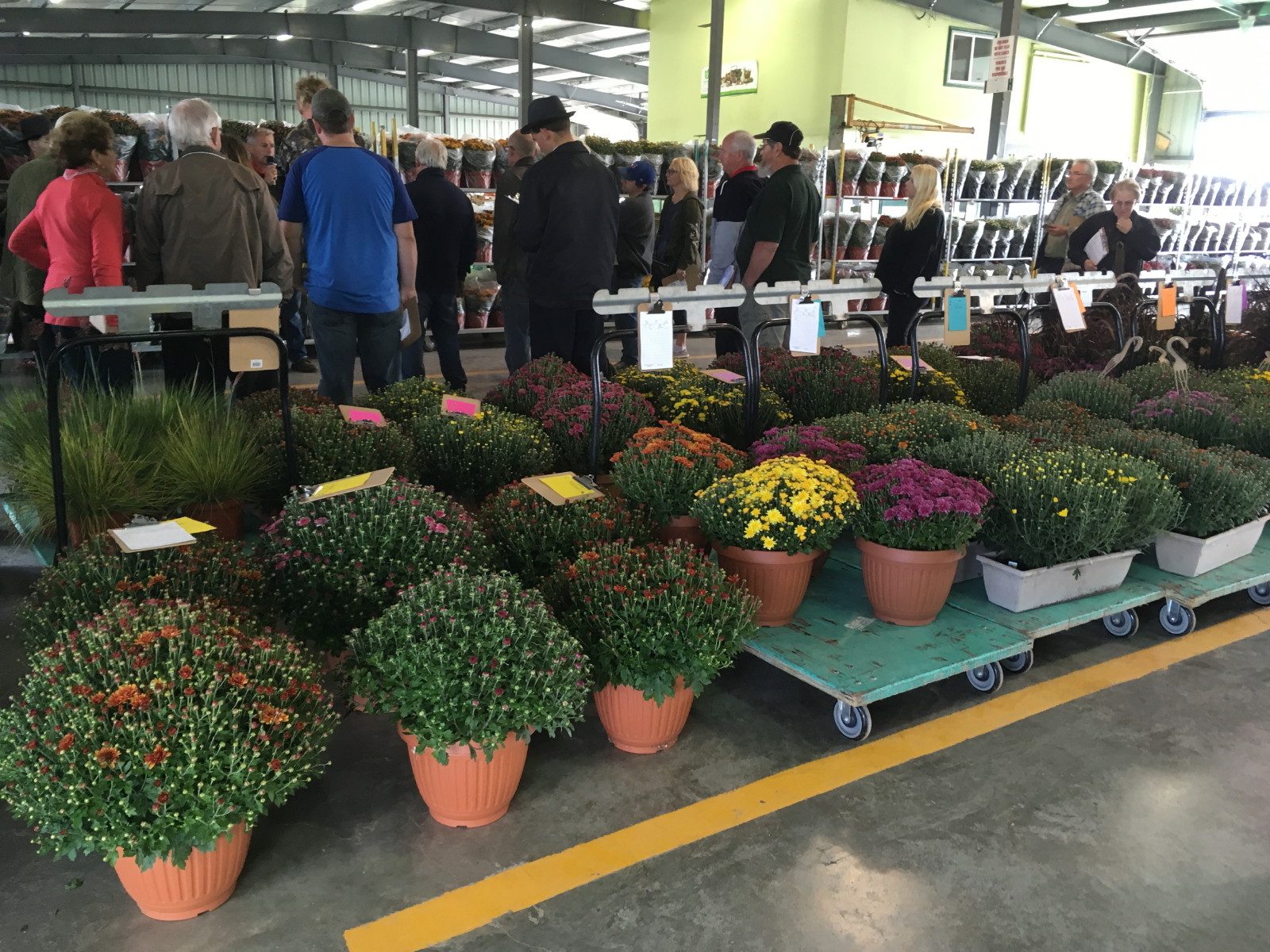 Anja's Photo Journal Elmira Produce Auction