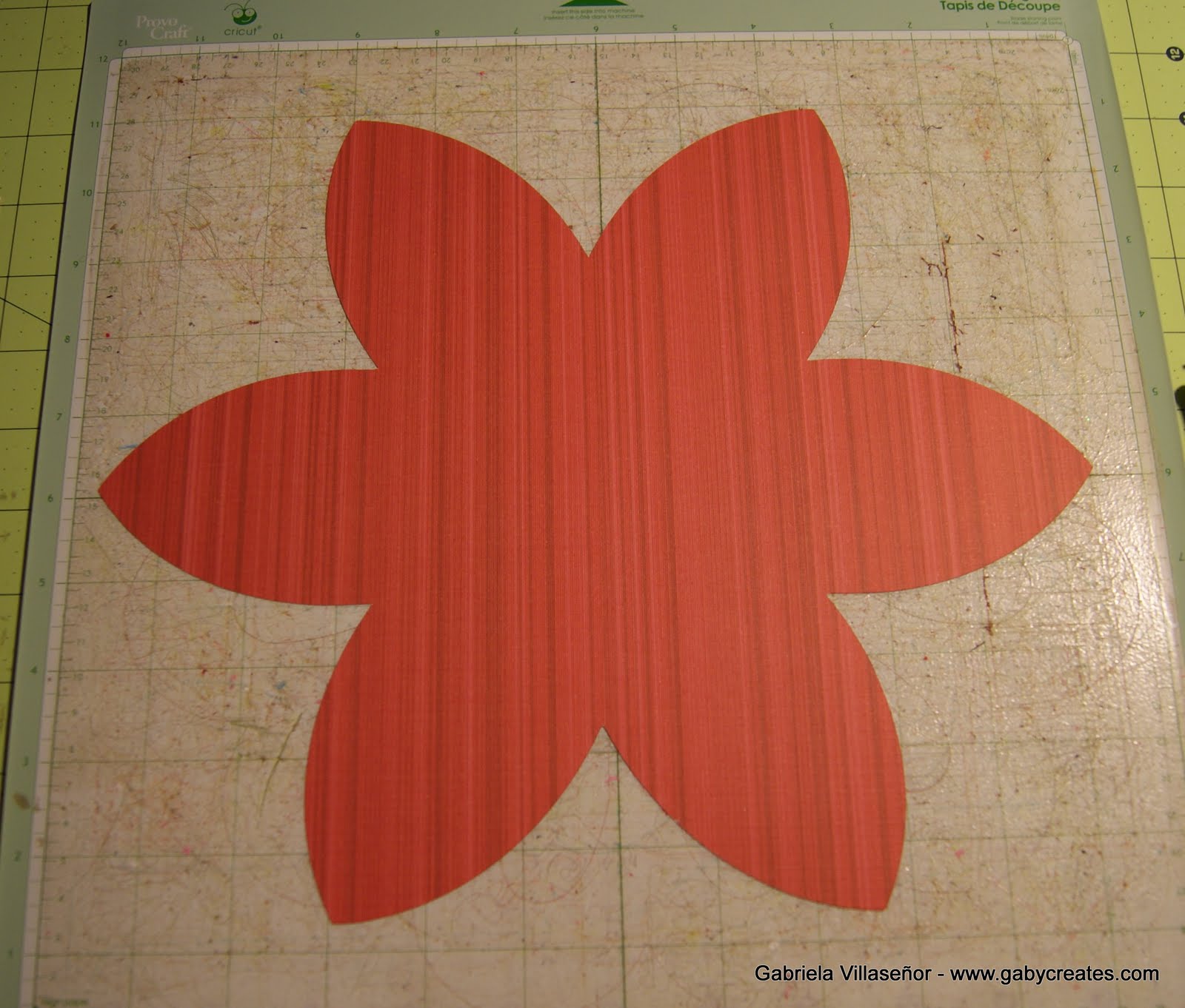 She's a Sassy Lady Strawberry Box Cricut Flower Shoppe