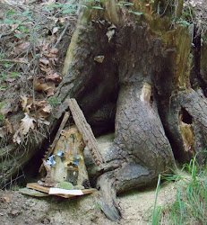 fairy found roots tree park fait attention