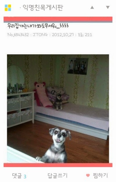 요즘에 그 이미쉘인가 걘 뭐하냐 | 인스티즈