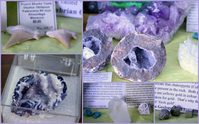 William's gemstones: turquoise, pyrite, amethyst, quartz, geodes, shark teeth fossils