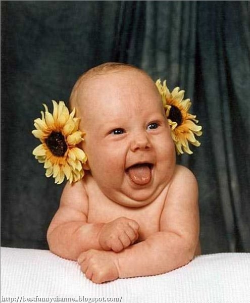 baby sunflower.