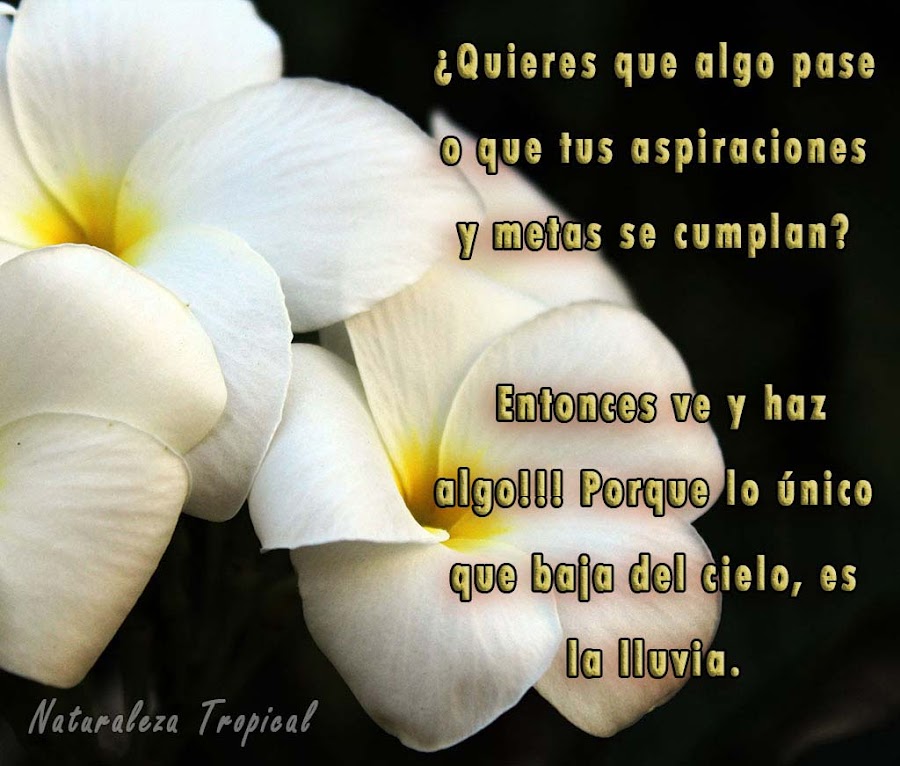 ¿Quieres que algo pase o que tus aspiraciones y metas se cumplan? Entonces ve y haz algo!!! Porque lo único que baja del cielo, es la lluvia.