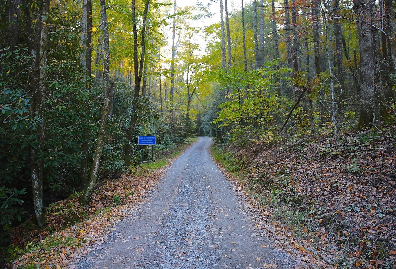 Sweet Southern Days Parson Branch Road In The Great Smoky Mountains