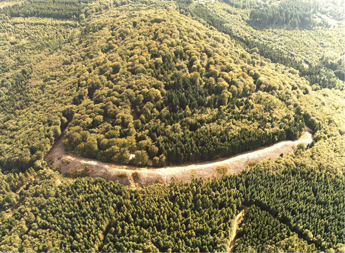 egyedülálló férfiak saarland