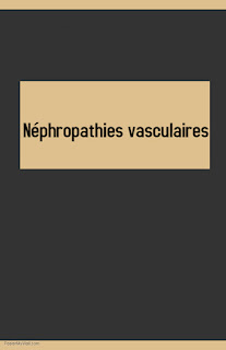 Néphropathies vasculaires