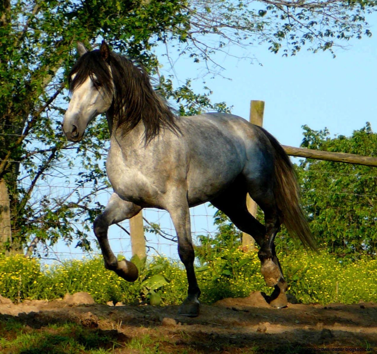 Cante Winds Farm
