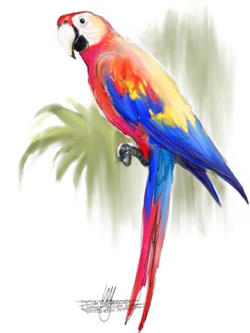 Scarlet macaw