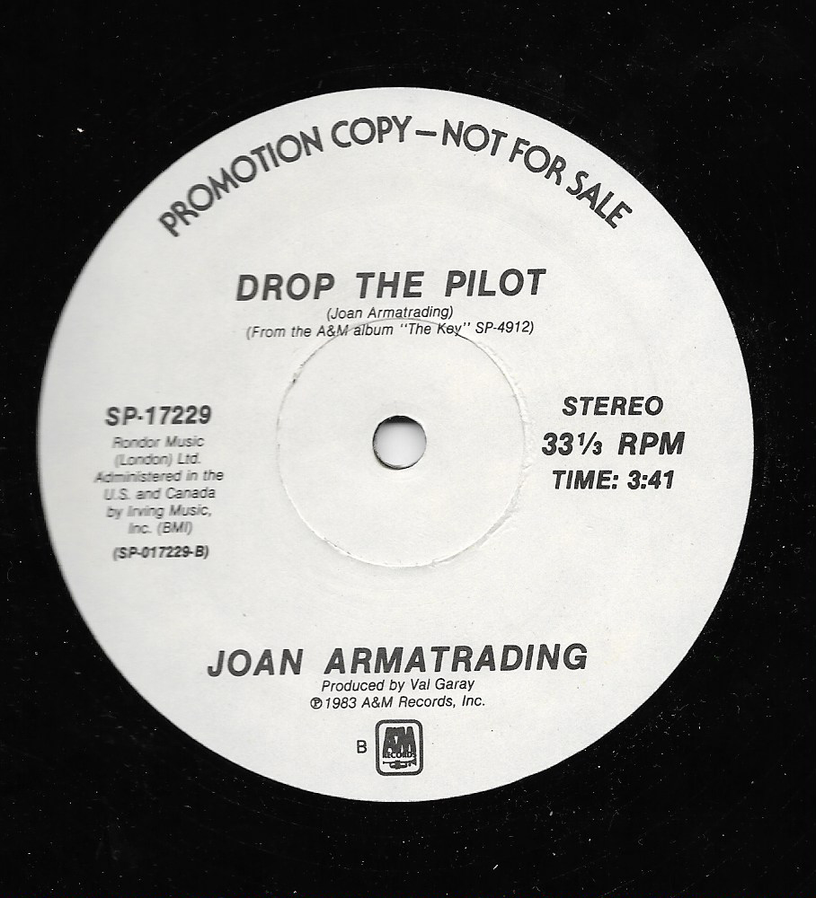 MEDUSABOY Joan Armatrading (I love it whan you) Call me name /Drop the pilot ( 12