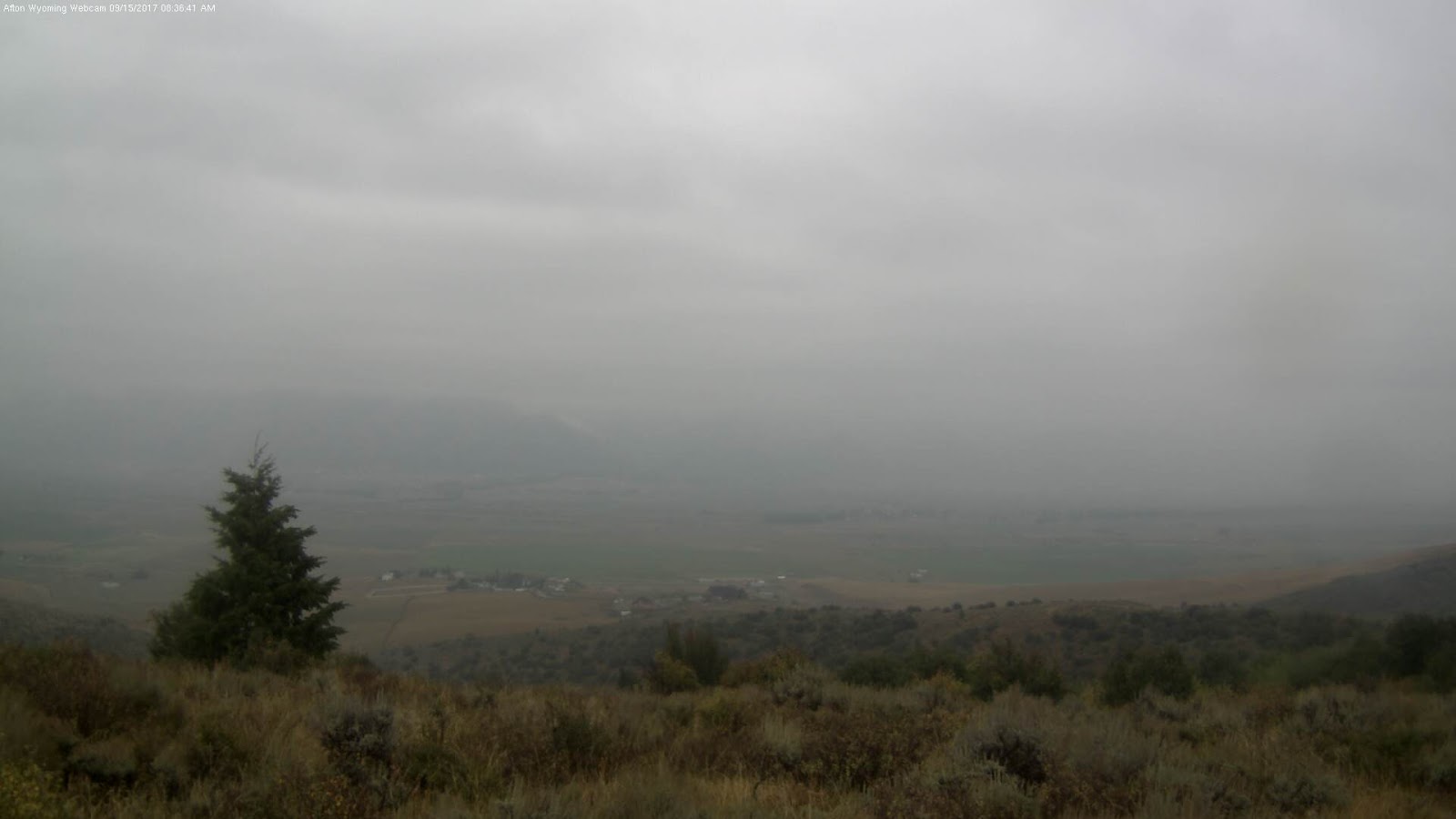 Star Valley Weather Rainfall Totals for Western Wyoming as of Early