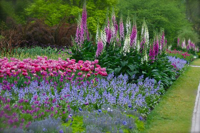 Longwood's sumptuous long border displays for spring. 