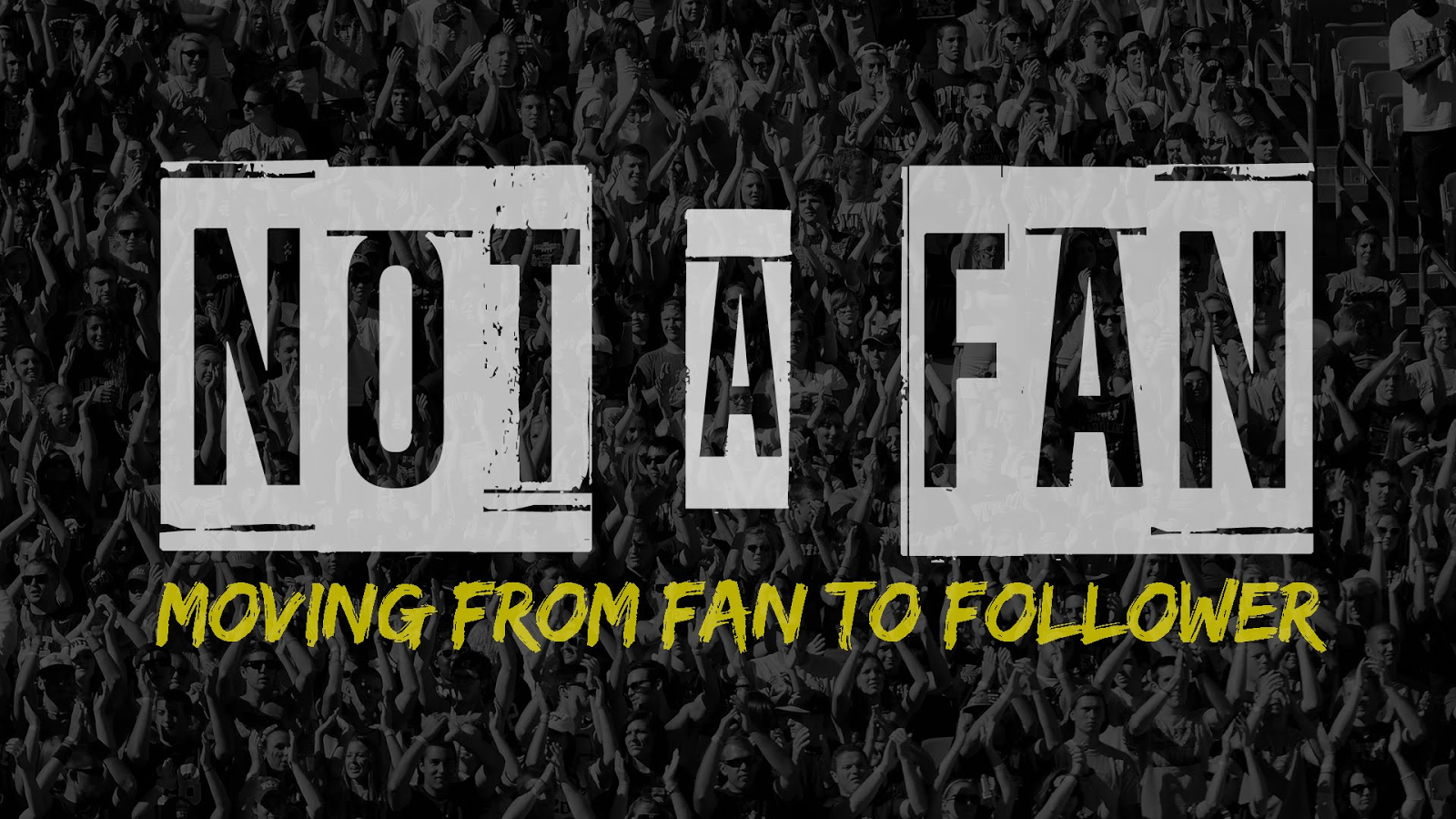 not a fan meaning
