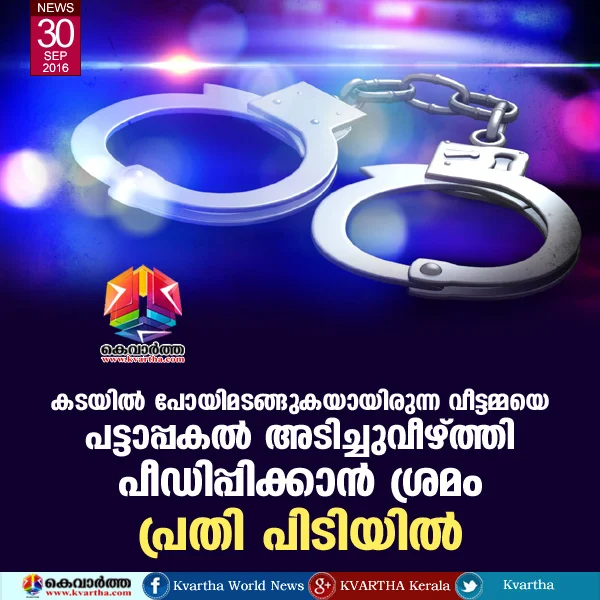 Youth arrested for immoral activities, Woman, Molestation attempt, Police, Arrest, Natives, Police Station, House Wife, Court, Kerala.
