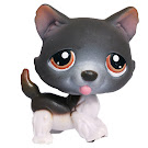 Littlest Pet Shop Tubes Husky (#174) Pet Littlest Pet Shop Tubes Husky (#174) Pet