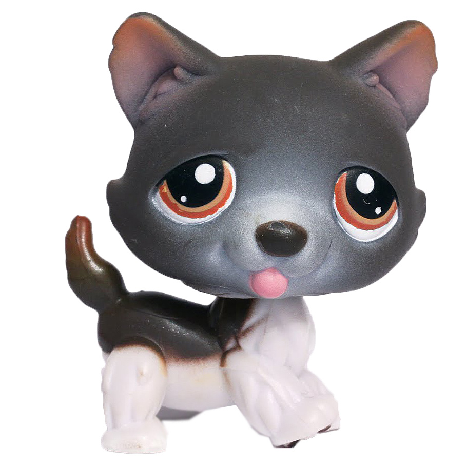 LPS Database Search "Husky" LPS Merch