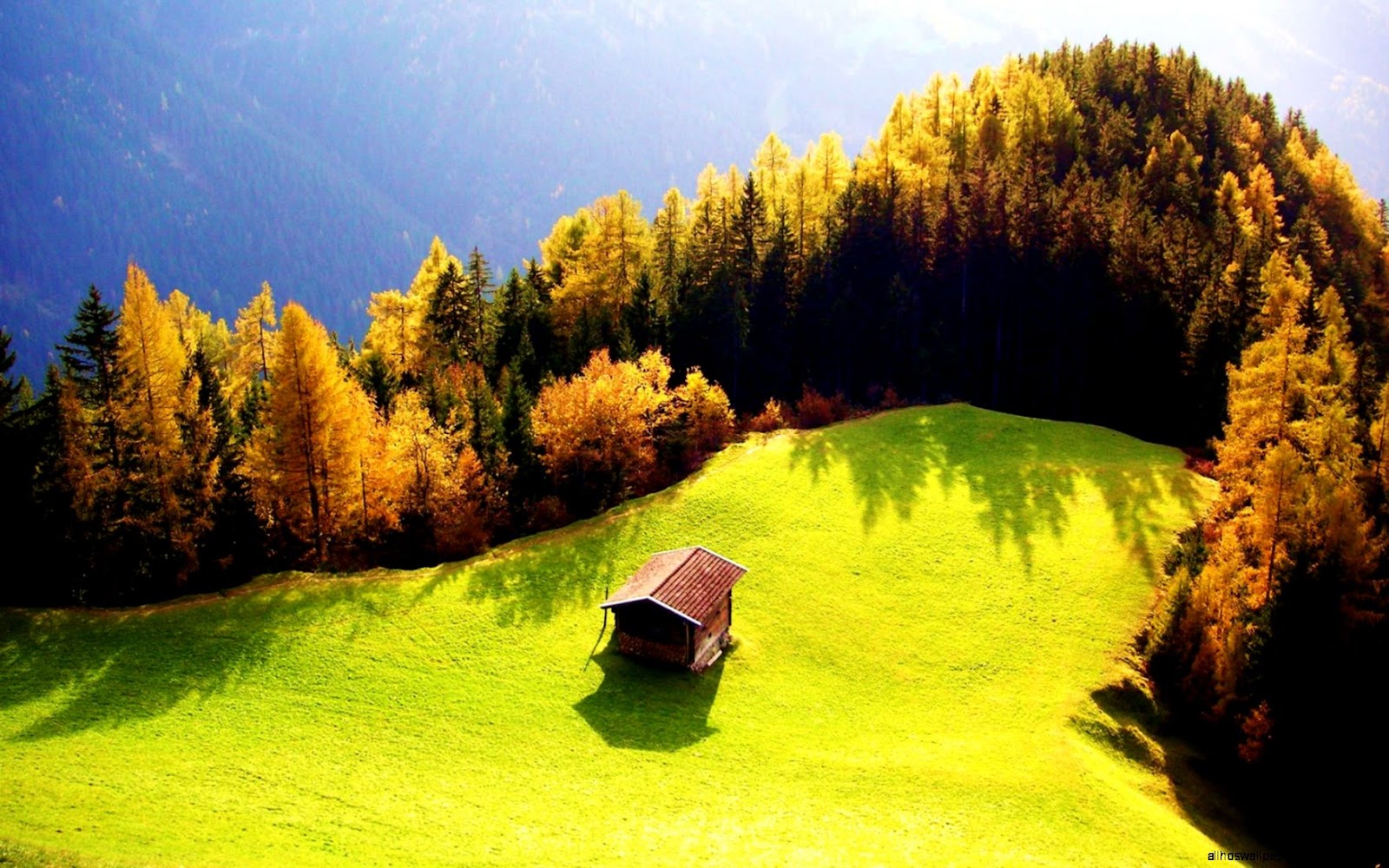 Beautiful Nature Landscape