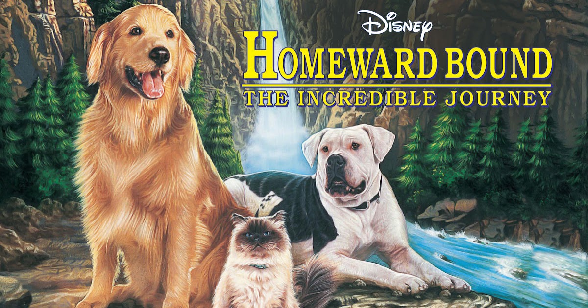 Homeward Bound The Incredible Journey Poster