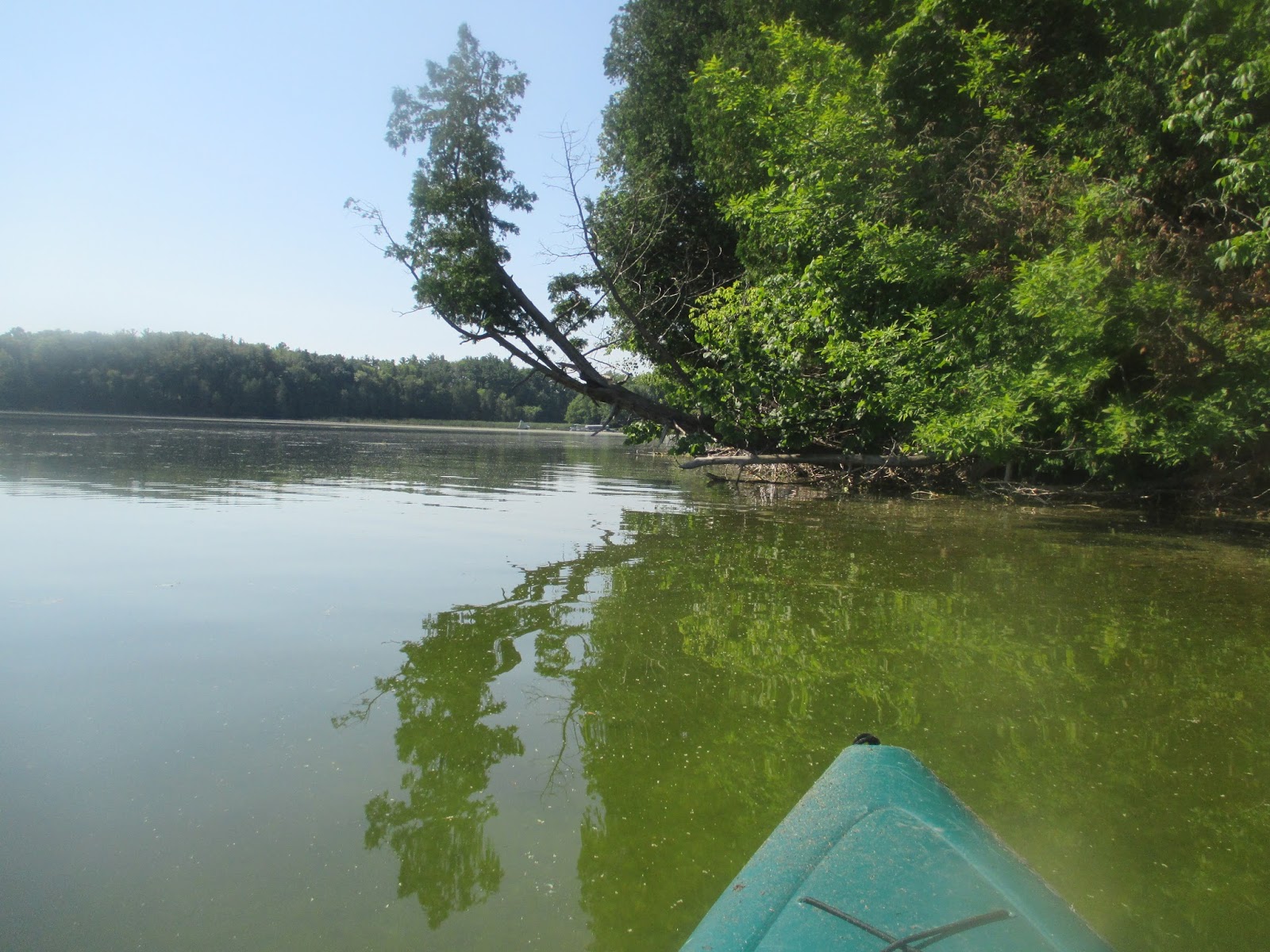 Dave's Yak Tales Cedar Lake