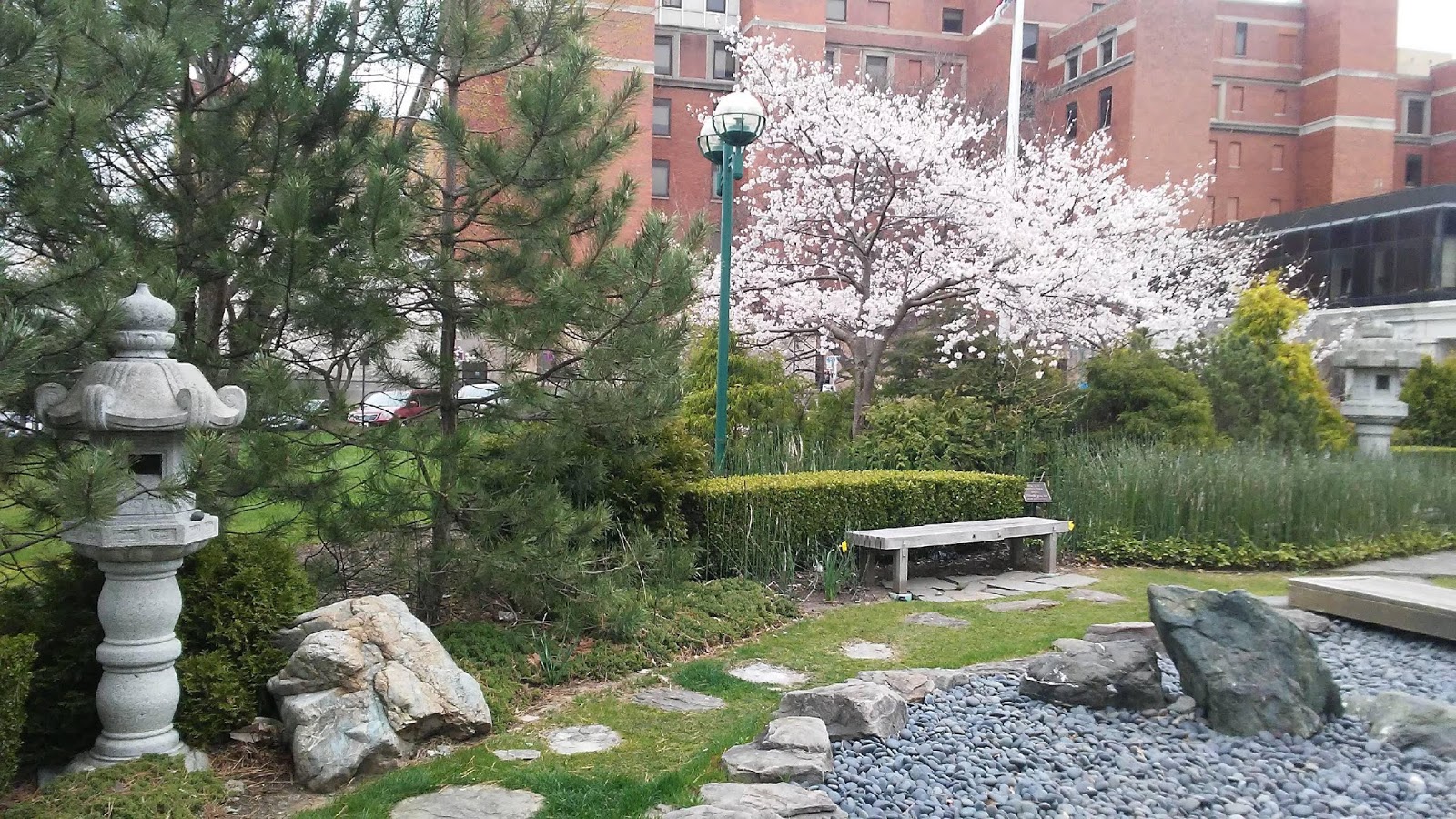 PennsylvAsia: Peak sakura season in Pittsburgh: cherry ...