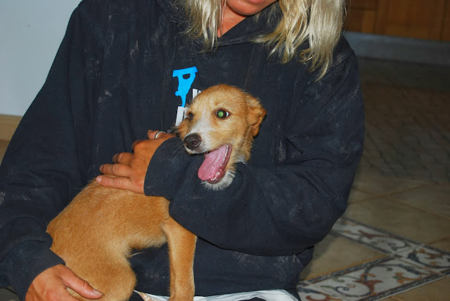 Das wahre Leben So´n büschen bekloppt ist ja ok. Hamsterkäufe?