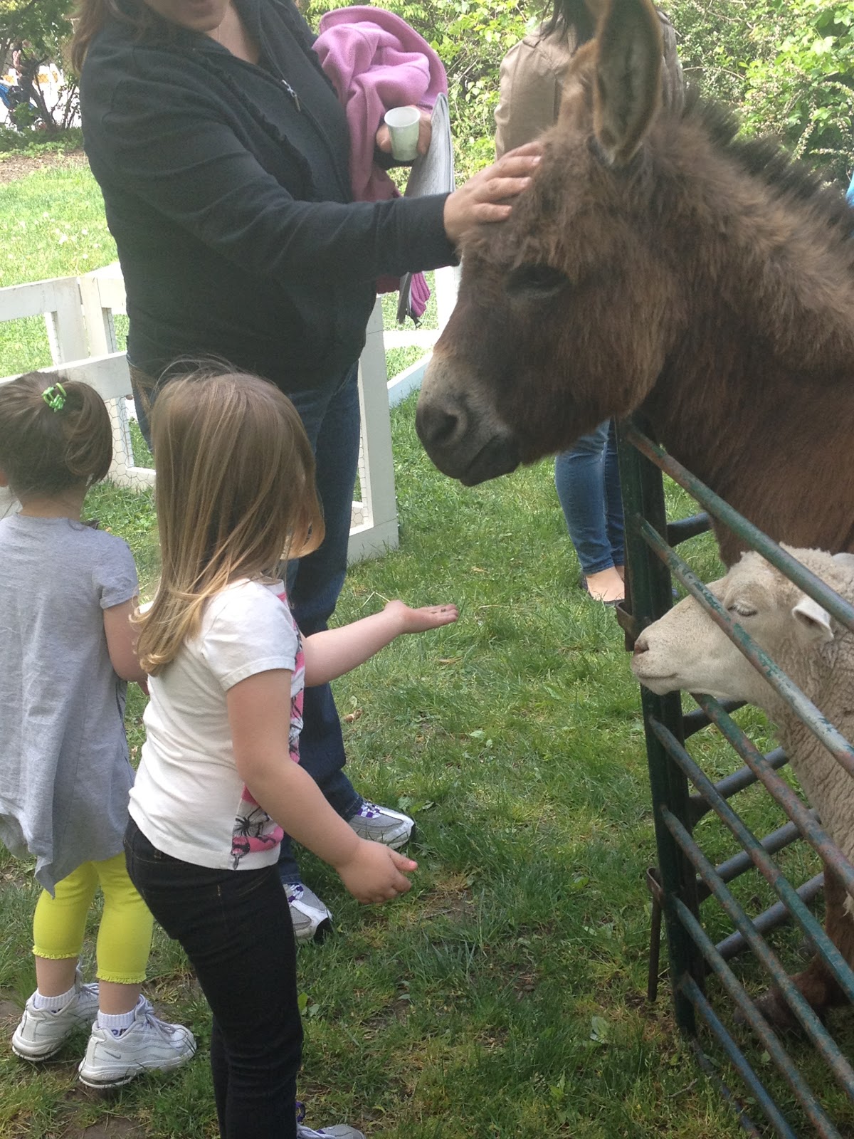 nyra-family-fun-days-event-kings