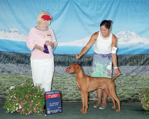 New Champion Ben Mt Bachelor KC supported entry Oregon July 2021