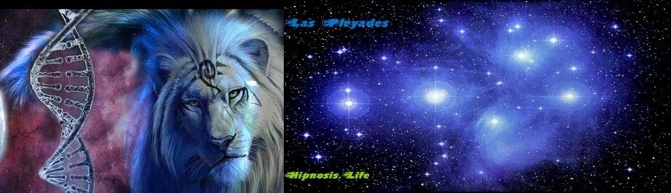HIPNOSIS LIFE Nº 156 - Toda su vida buscando la Justicia