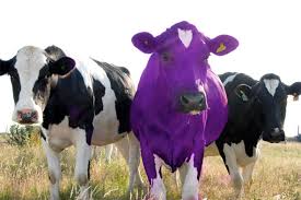 Marketing para Pymes: En busca de la vaca púrpura