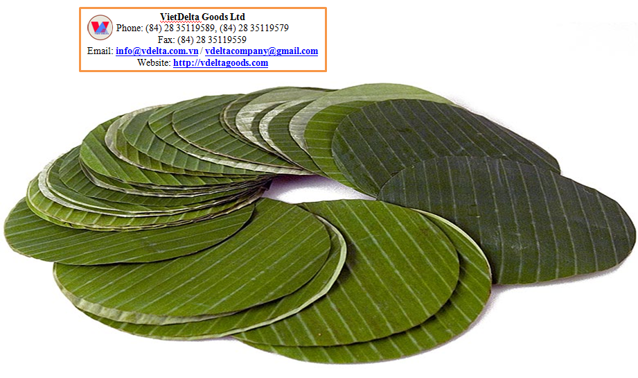 Banana leaves cut round
